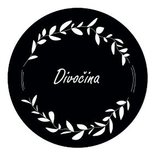 Divočina