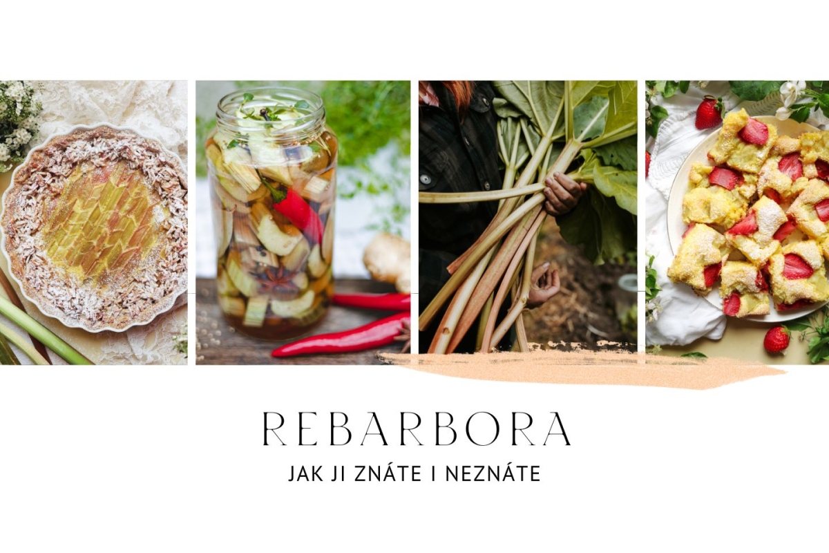 REBARBORA: Zelenina, která vás neomrzí